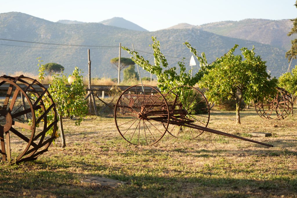 Agriturismo Lazio Roma a un passo dal lago